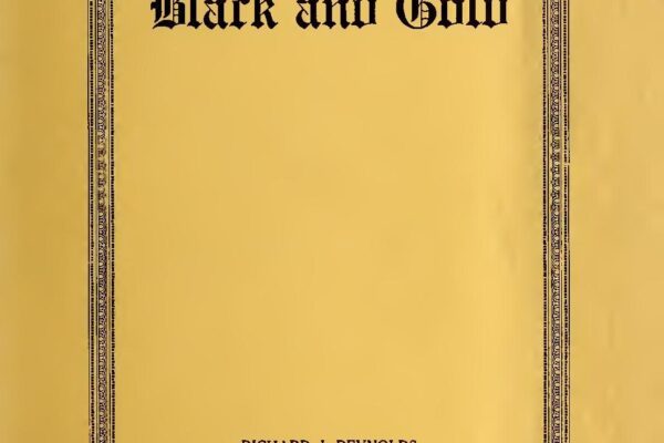 Gold Coast, Australia - Travel Guide